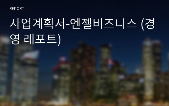 사업계획서-엔젤비즈니스 (경영 레포트)