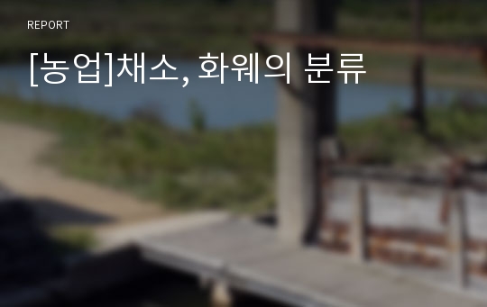 [농업]채소, 화웨의 분류