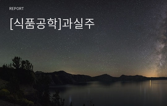 [식품공학]과실주