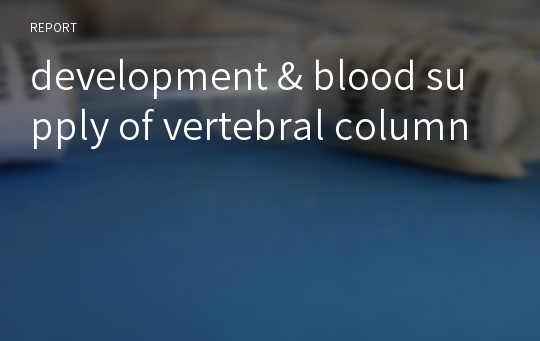 development &amp; blood supply of vertebral column