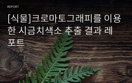 [식물]크로마토그래피를 이용한 시금치색소 추출 결과 레포트