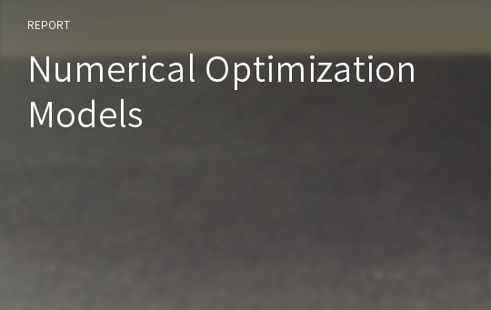 Numerical Optimization Models