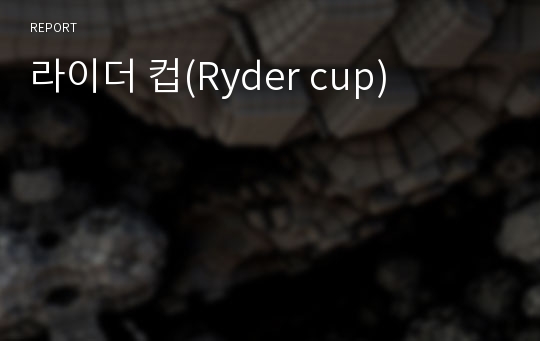 라이더 컵(Ryder cup)