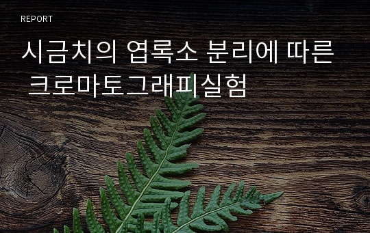 시금치의 엽록소 분리에 따른 크로마토그래피실험