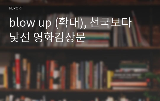 blow up (확대), 천국보다 낯선 영화감상문