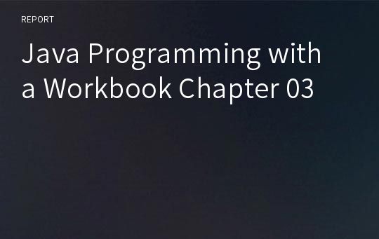 Java Programming with a Workbook Chapter 03