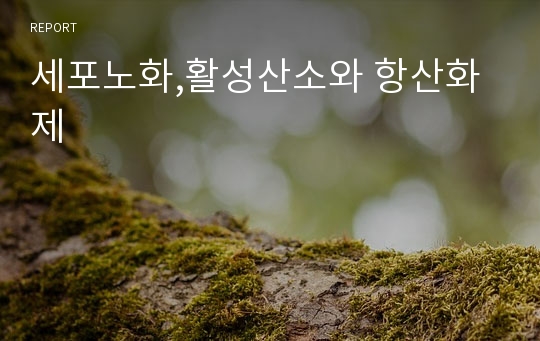 세포노화,활성산소와 항산화제