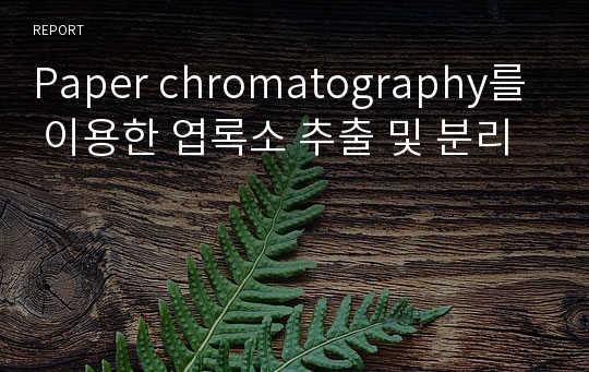 Paper chromatography를 이용한 엽록소 추출 및 분리