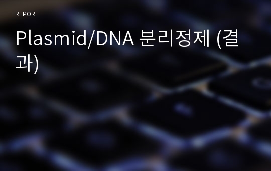 Plasmid/DNA 분리정제 (결과)