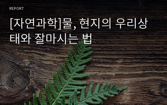 [자연과학]물, 현지의 우리상태와 잘마시는 법