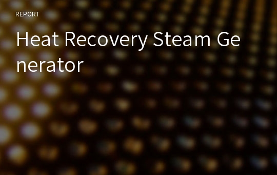 Heat Recovery Steam Generator