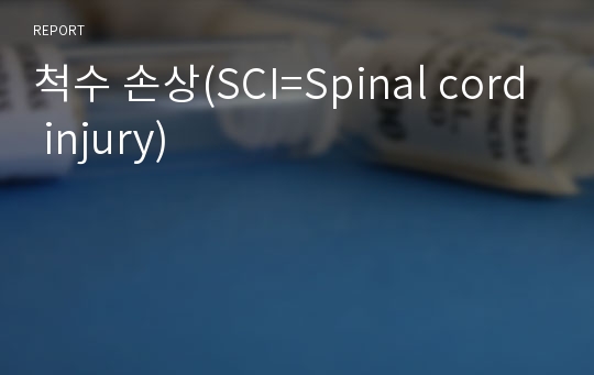 척수 손상(SCI=Spinal cord injury)