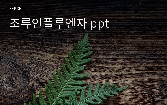 조류인플루엔자 ppt