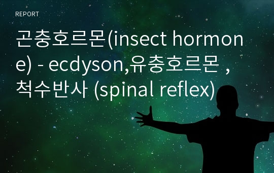 곤충호르몬(insect hormone) - ecdyson,유충호르몬 , 척수반사 (spinal reflex)