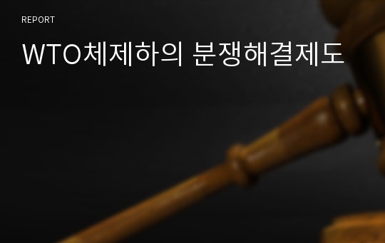 WTO체제하의 분쟁해결제도