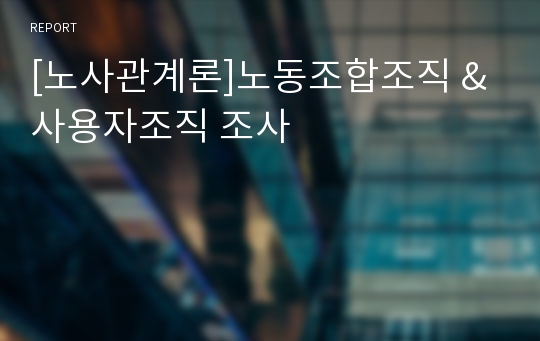 [노사관계론]노동조합조직 &amp; 사용자조직 조사