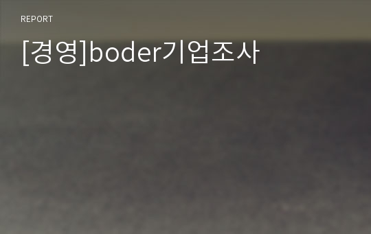 [경영]boder기업조사