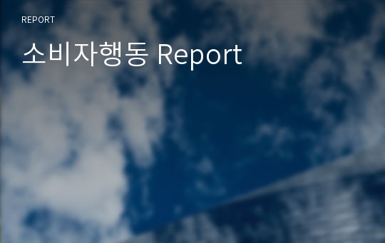 소비자행동 Report