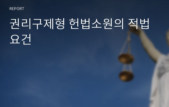 권리구제형 헌법소원의 적법요건