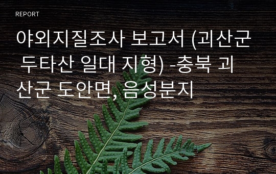 야외지질조사 보고서 (괴산군 두타산 일대 지형) -충북 괴산군 도안면, 음성분지