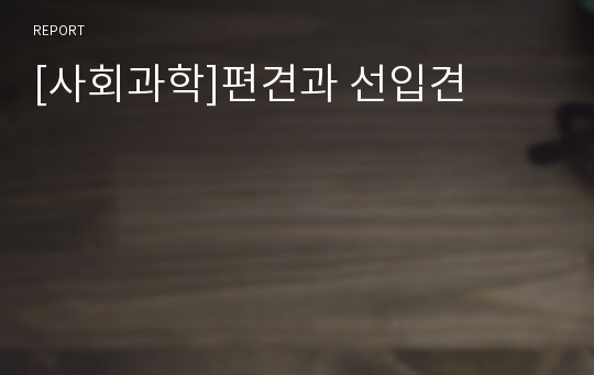 [사회과학]편견과 선입견