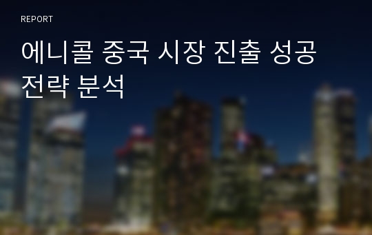 에니콜 중국 시장 진출 성공전략 분석