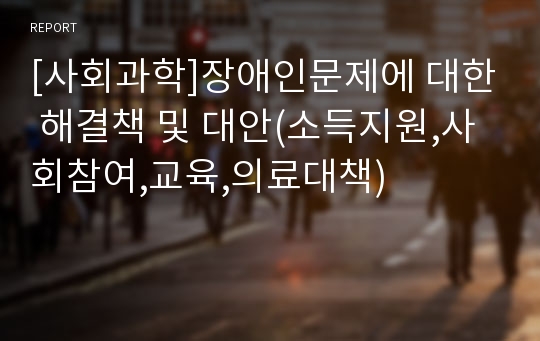 [사회과학]장애인문제에 대한 해결책 및 대안(소득지원,사회참여,교육,의료대책)