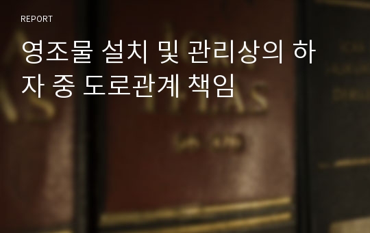 영조물 설치 및 관리상의 하자 중 도로관계 책임