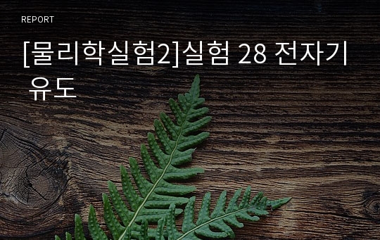 [물리학실험2]실험 28 전자기 유도