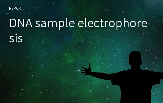 DNA sample electrophoresis