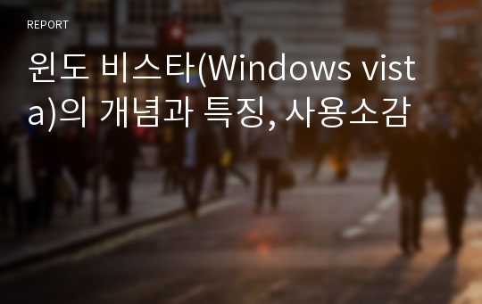 윈도 비스타(Windows vista)의 개념과 특징, 사용소감