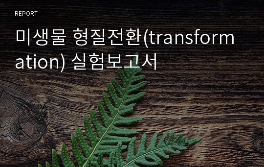 미생물 형질전환(transformation) 실험보고서