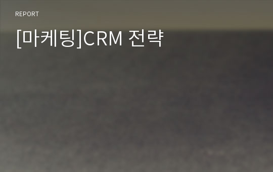 [마케팅]CRM 전략