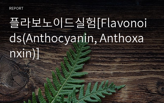 플라보노이드실험[Flavonoids(Anthocyanin, Anthoxanxin)]
