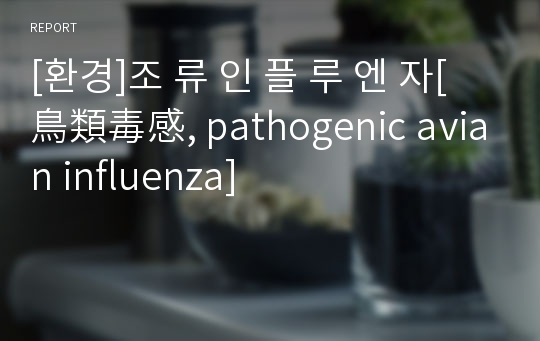 [환경]조 류 인 플 루 엔 자[鳥類毒感, pathogenic avian influenza]