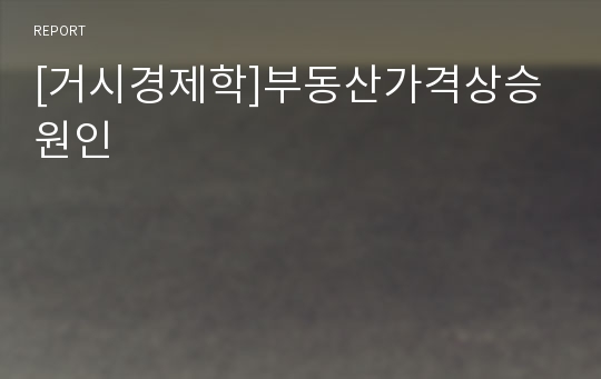 [거시경제학]부동산가격상승원인