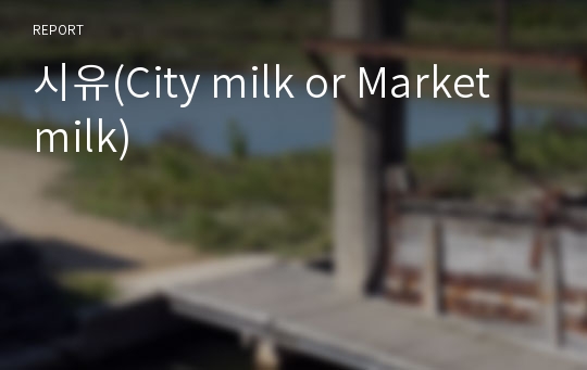 시유(City milk or Market milk)