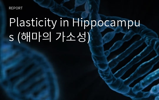 Plasticity in Hippocampus (해마의 가소성)