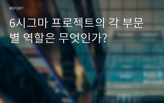 6시그마 프로젝트의 각 부문별 역할은 무엇인가?