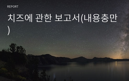 치즈에 관한 보고서(내용충만)