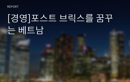 [경영]포스트 브릭스를 꿈꾸는 베트남