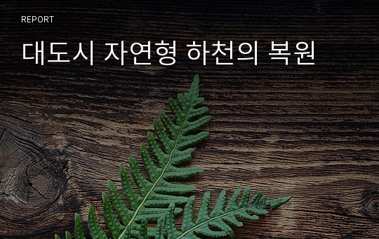 대도시 자연형 하천의 복원