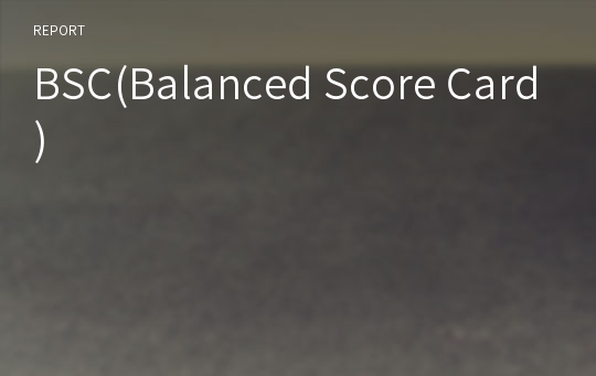 BSC(Balanced Score Card)