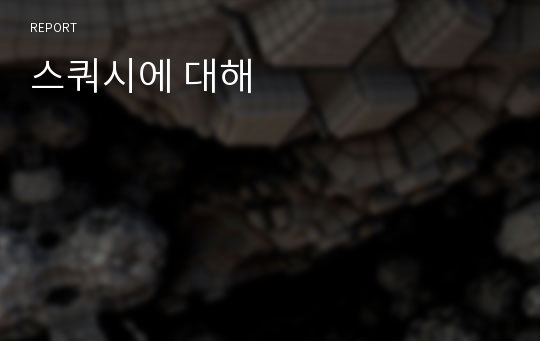 스쿼시에 대해