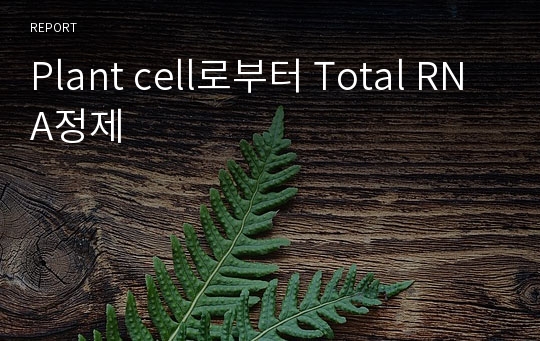 Plant cell로부터 Total RNA정제