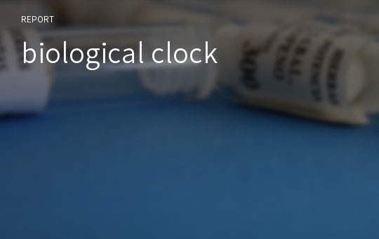 biological clock