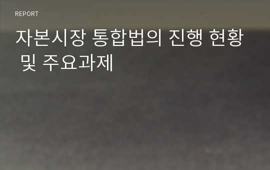 자본시장 통합법의 진행 현황 및 주요과제