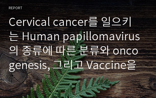 Cervical cancer를 일으키는 Human papillomavirus의 종류에 따른 분류와 oncogenesis, 그리고 Vaccine을 이용한 치료방법