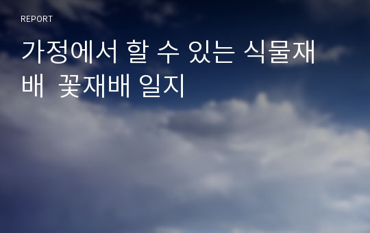 가정에서 할 수 있는 식물재배  꽃재배 일지