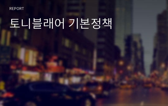 토니블래어 기본정책